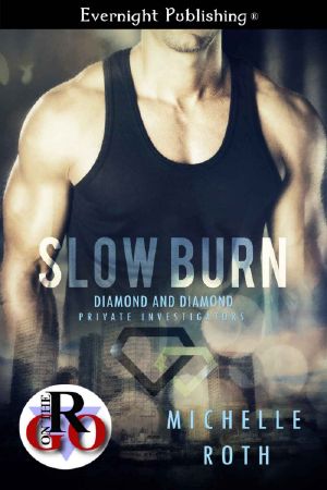 [Diamond and Diamond Private Investigators 02] • Slow Burn